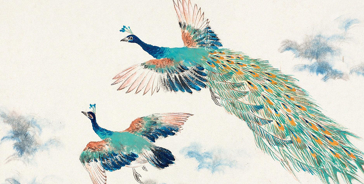 孔雀东南飞_孔雀东南飞收入(3)