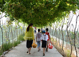 久裕农业生态园