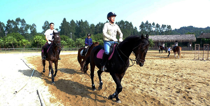 英姿马术俱乐部门票,英姿马术俱乐部门票预订