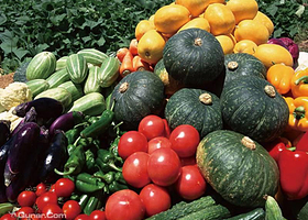 亚布力虎峰岭生态采摘园