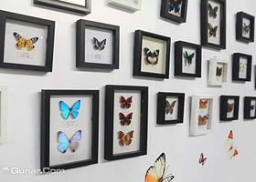 悦来之夏大自然之美