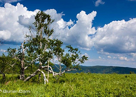 亚布力虎峰岭高山草原