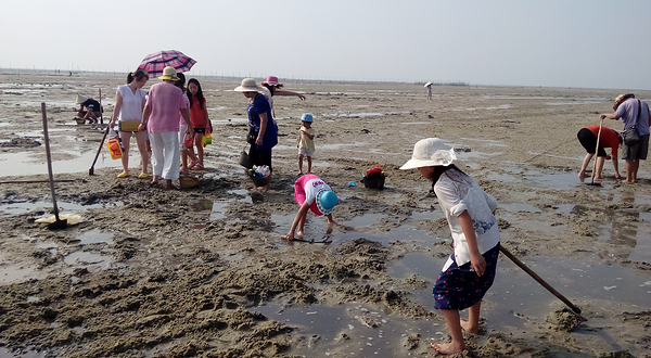 北海红树林欢乐赶海