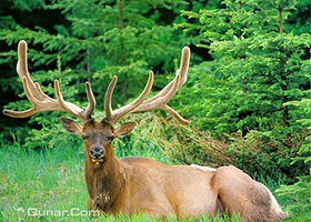 天鹿旅游生态园