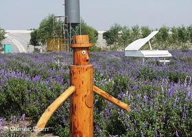 长青树生态庄园