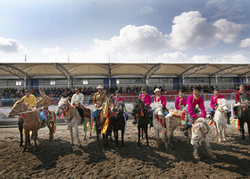 丽江纳若国际马术俱乐部