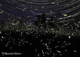 广州南湖萤火虫花园