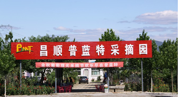 北京昌顺普蓝特采摘园