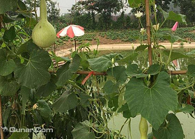 绿普生山庄（原怡闲山庄）