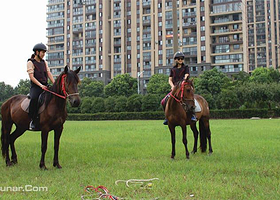骑士马术俱乐部（园区培训中心唯亭店）