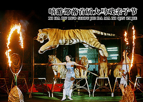 嘻游部落首届大马戏亲子节