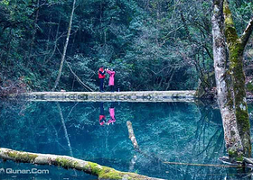 十大森林公园通票