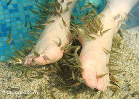 亲亲鱼疗馆（迎泽区）