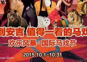 欢乐风暴马戏节