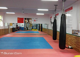 新极真空手道（陇海道场）