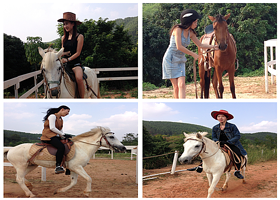 大圣马术俱乐部