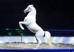 东方马城（马秀）