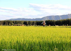海淀金秋亲子游