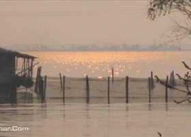 苏州阳澄湖莲花岛农家乐