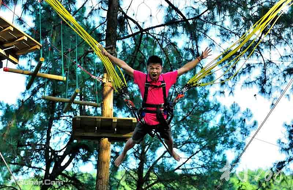 歌乐山飞越丛林门票