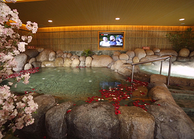 北京汤泉良子会所