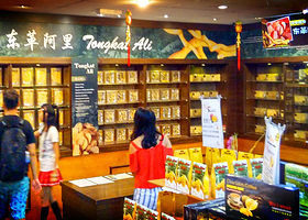 马来西亚东戈专门店