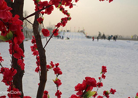 紫谷伊甸园冰雪节