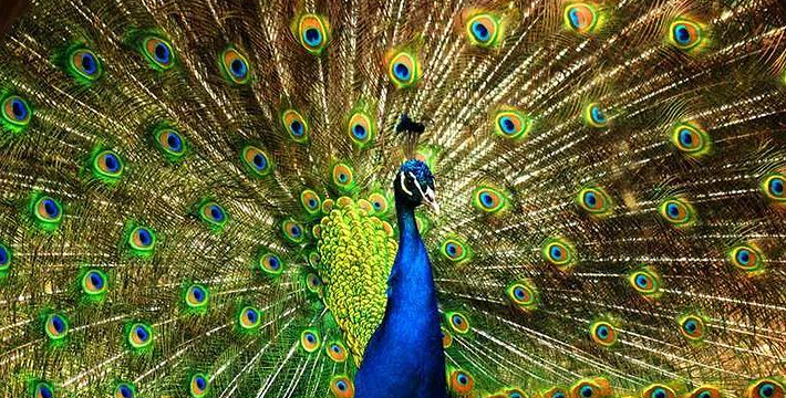 南宁金沙湖风景区门票,南宁金沙湖风景区门票