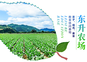 广州南沙东升农场