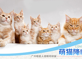 广州琶醍萌猫展-喵星人侵略地球