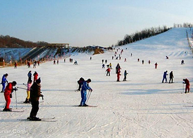 英杰温泉松林滑雪场