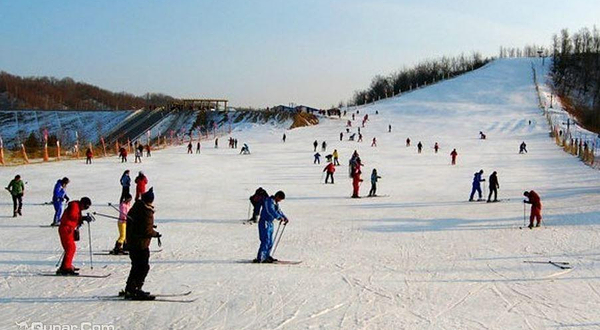 英杰温泉松林滑雪场