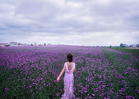 碧云花园休闲农庄