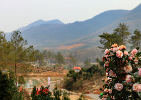 京山茶花源风景区