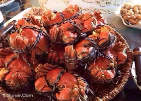 昆山巴城阳澄湖大闸蟹养殖基地