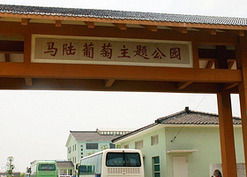 上海马陆葡萄艺术村