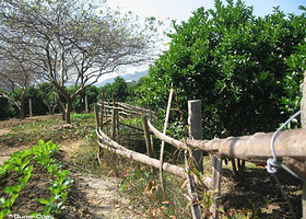 新锦记度假山庄