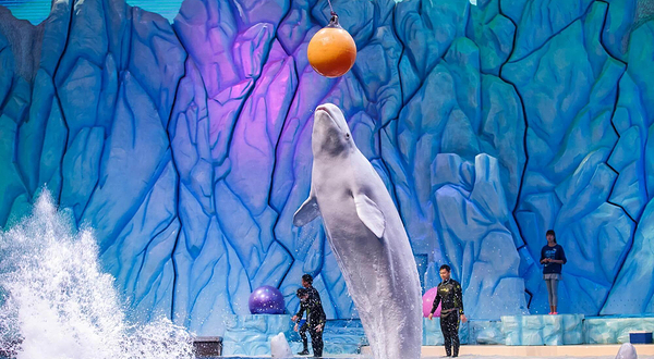 珠海长隆国际海洋度假区