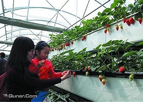 青岛法海寺生态农业观光园