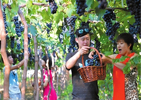 天葡庄园（延庆）