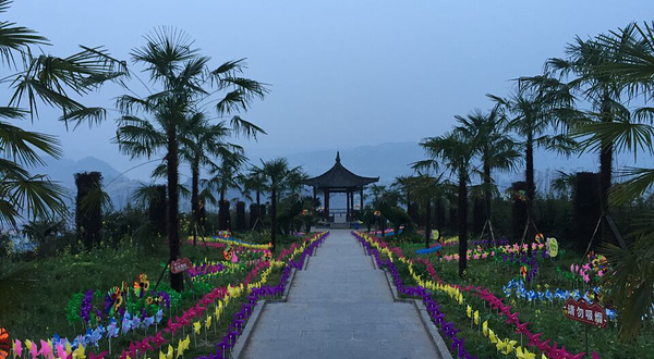 宜宾龙腾花舞风景区