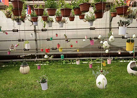 桃花岛生态度假园