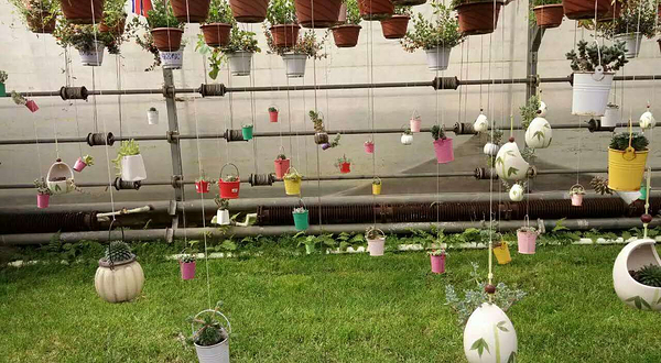 桃花岛生态度假园