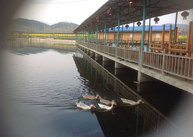 云雾山胜祥农庄