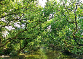 四草湿地保护区