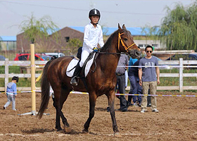 青海博塞马术俱乐部