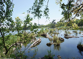 罗东林业文化园