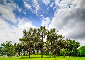 云山水自然生态农场