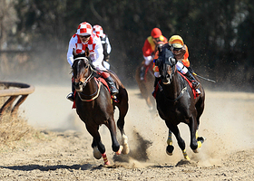 北京天赐圣泉马术俱乐部