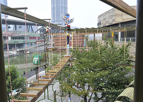 贝贝熊克里勇士